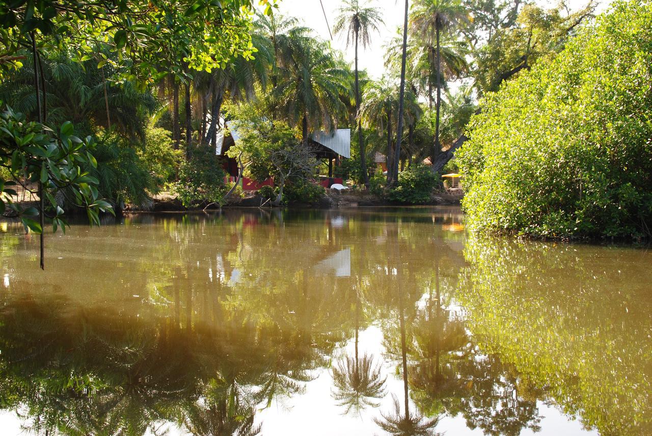 Abca'S Creek Lodge Bintang Bagian luar foto